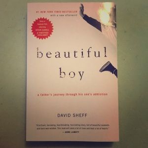 The book Beautiful Boy by David Sheff